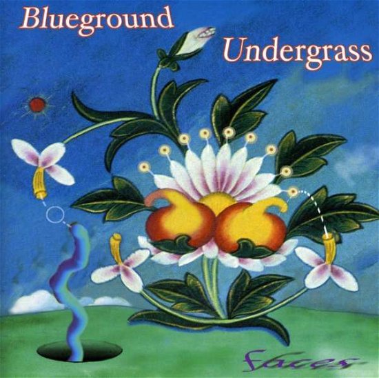 Cover for Bluegrasss Undergrass · Hills Of Tennessee And.. (CD) (2006)