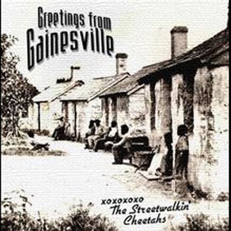 Cover for Streetwalkin' Cheetahs · Greetings From Gainsville (CD) (2003)