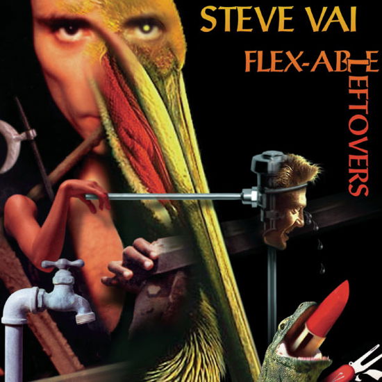 Cover for Steve Vai · Flex-Able Leftovers (CD) (1998)