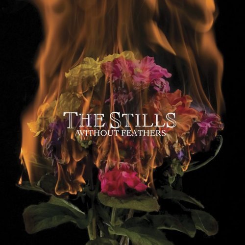 Cover for Stills · Without Feathers (CD) (2006)