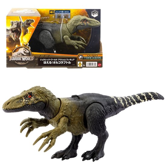 Cover for Jurassic World · Jurassic World Wild Roar Orkoraptor (MERCH) (2023)