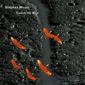 Cover for Stephan Micus · Towards The Wind (CD) (2002)