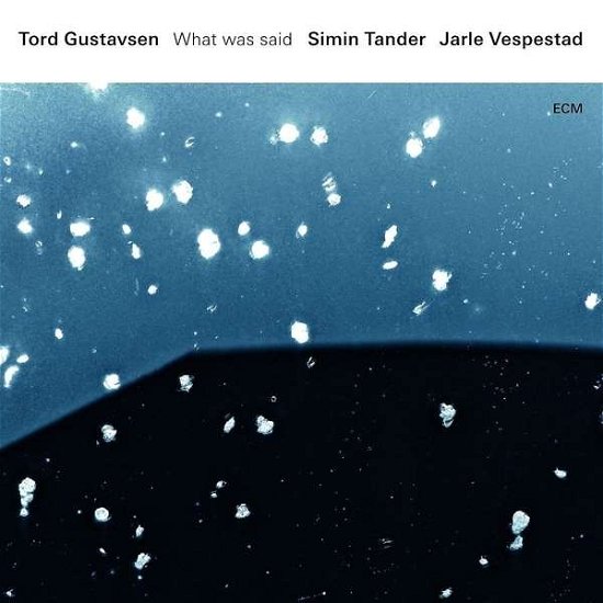 Cover for Tord Gustavsen / Simin Tander &amp; Jarle Vespestad · What Was Said (LP) (2016)