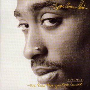 Cover for Tupac Shakur · The Rose That Grew from Concrete (CD) (2000)