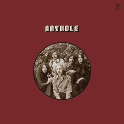 Cover for Bryndle (LP) (2024)