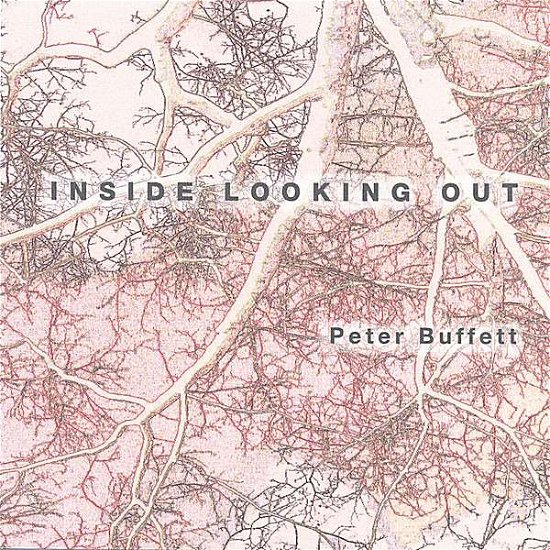 Cover for Peter Buffett · Inside Looking out (CD) (2006)
