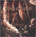 Cover for Forest of Impaled · Demonvoid (CD) (2013)