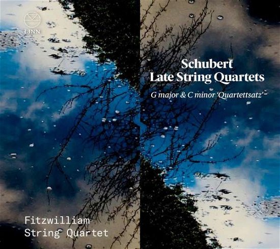 Cover for Fitzwilliam String Quartet · Schubert: Late String Quartets. G Major &amp; C Minor Quartettsatz (CD) (2021)