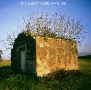 Cover for Joel Ally · There To Here (CD) (2006)