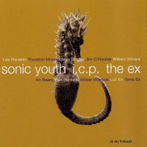 Sonic Youth + The Ex+Icp · In The Fishtank (CD) (2002)