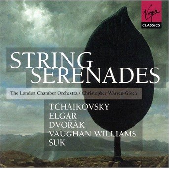 Cover for Various Composers · String Serenades (CD) (2000)