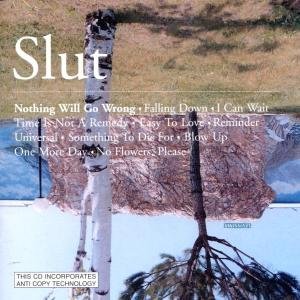 Cover for Slut · Nothing Will Go Wrong (CD) (2002)
