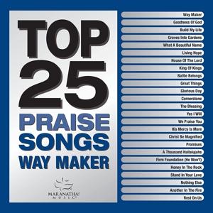 Cover for Maranatha! Music · Top 25 Praise Songs - Way Maker (CD) (2022)