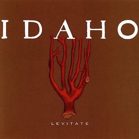 Cover for Idaho · Levitate (CD) (2005)