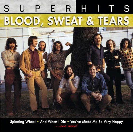 Cover for Blood Sweat &amp; Tears · Super Hits (CD) (1998)