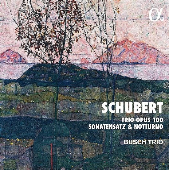 Cover for Busch Trio · Schubert: Trio Opus 100. Sonatensatz &amp; Notturno (CD) (2020)