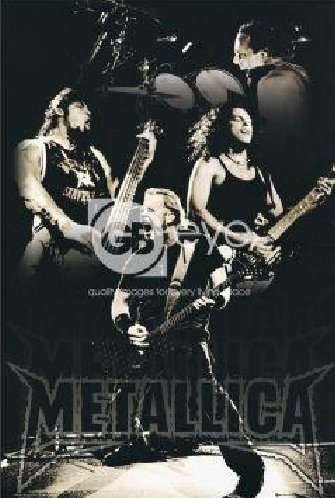 Cover for Metallica · Metallica - Black &amp; White (Poster) (Leketøy)