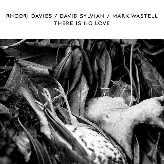 There Is No Love - Davies / Sylvian / Wastell - Musique - CONFRONT - 5060446123324 - 13 avril 2019