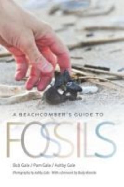 A Beachcomber's Guide to Fossils - Wormsloe Foundation Nature Book Series - Bob Gale - Books - University of Georgia Press - 9780820357324 - December 30, 2020