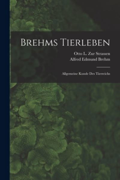 Brehms Tierleben - Alfred Edmund Brehm - Livros - Creative Media Partners, LLC - 9781016575324 - 27 de outubro de 2022