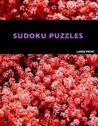 Cover for Akebia Puzzles · Sudoku Puzzles Large Print (Taschenbuch) (2019)