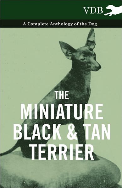 Cover for The Miniature Black and Tan Terrier - a Complete Anthology of the Dog (Pocketbok) (2010)