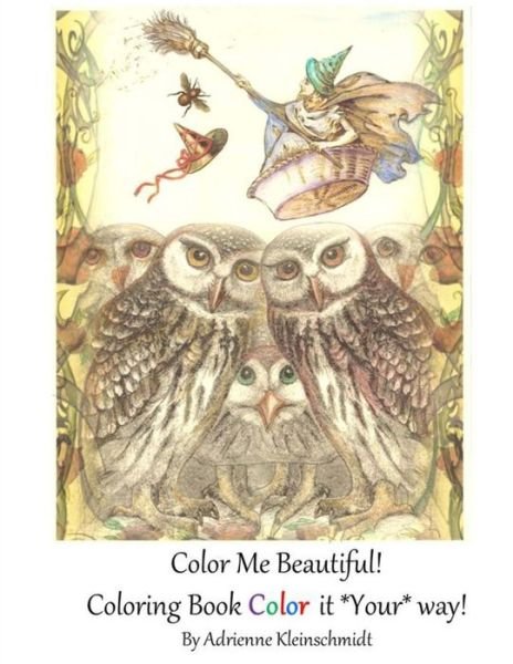 Cover for Adrienne Kleinschmidt · Color Me Beautiful! (Paperback Book) (2016)