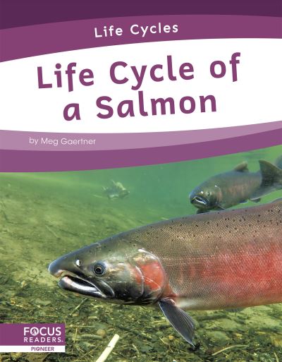 Cover for Meg Gaertner · Life Cycle of a Salmon - Life Cycles (Hardcover Book) (2021)