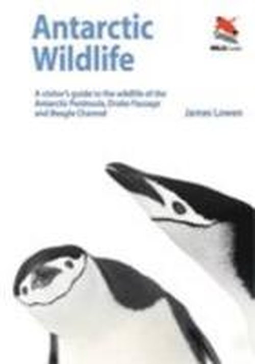 Cover for James Lowen · Antarctic Wildlife – A Visitor's Guide (Paperback Book) (2011)