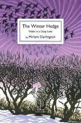 Cover for Miriam Darlington · The Winter Hedge: Walks in a Deep Lane (Paperback Book) (2023)