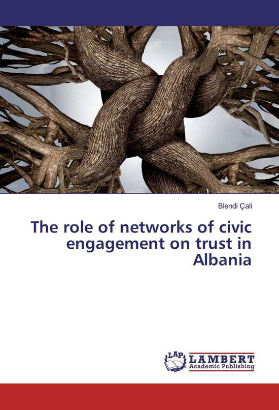 The role of networks of civic enga - Çali - Books -  - 9783659857324 - 