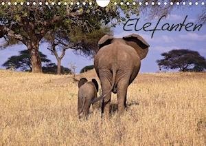 Cover for Voß · Elefanten (Wandkalender 2020 DIN A4 (Buch)