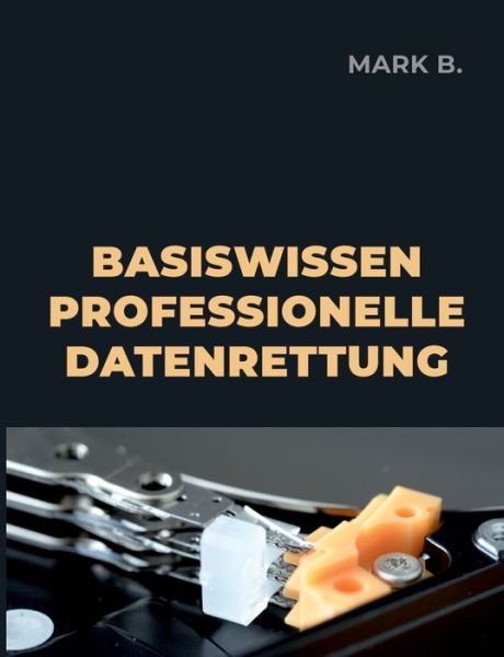Cover for Mark B · Basiswissen professionelle Datenrettung (Paperback Book) (2022)