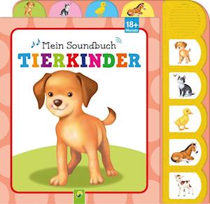 Mein Soundbuch Tierkinder - Schwager und Steinlein - Kirjat - Schwager und Steinlein - 9783849940324 - torstai 10. maaliskuuta 2022