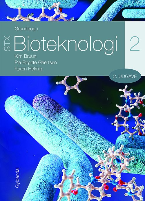 Cover for Kim Bruun; Karen Helmig; Pia Birgitte Geertsen · Grundbog i bioteknologi - STX: Grundbog i bioteknologi 2 - STX (Taschenbuch) [2. Ausgabe] (2019)