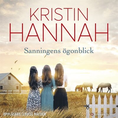Cover for Kristin Hannah · Sanningens ögonblick (Hörbok (MP3)) (2017)