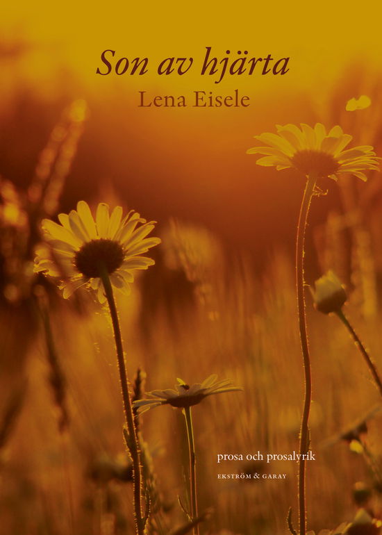 Cover for Lena Eisele · Son av hjärta (Paperback Book) (2024)