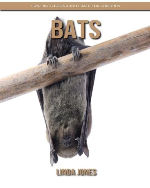 Cover for Linda Jones · Bats (Paperback Book) (2020)