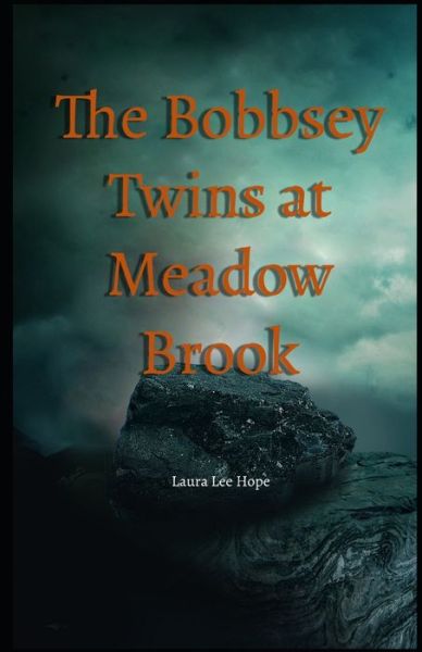 Cover for Laura Lee Hope · The Bobbsey Twins at Meadow Brook Illustrated (Paperback Book) (2021)