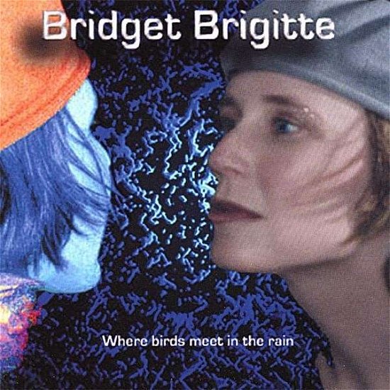 Where Birds Meet in the Rain - Bridget Brigitte - Muziek - CD Baby - 0019871600325 - 27 augustus 2002