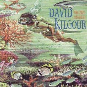 Cover for David Kilgour · Frozen Orange (CD) (2004)