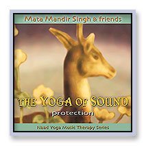 Cover for Mata Mandir Singh · Protection (CD) (2009)