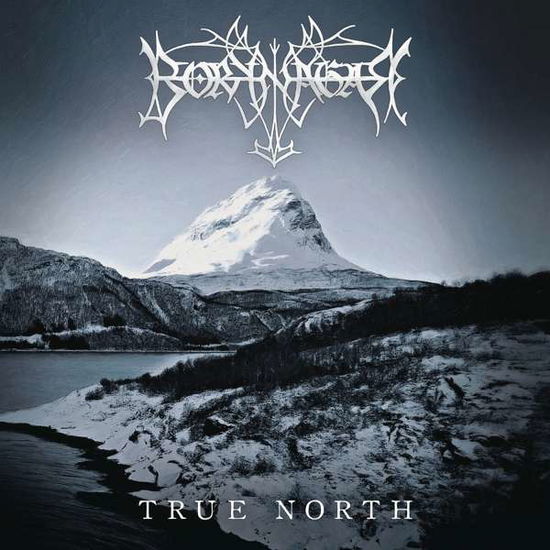 True North - Borknagar - Musique - CENTURY MEDIA - 0190759861325 - 26 février 2021