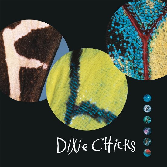 Cover for Dixie Chicks · Fly (CD) (2020)