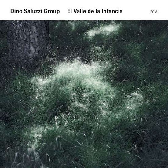 Cover for Dino Saluzzi · El Valle De La Infancia (CD) (2014)