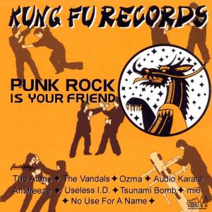 Punk Rock is Your Friend - V/A - Música - MVD - 0610337879325 - 8 de julho de 2002