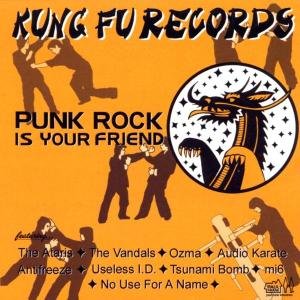 Punk Rock is Your Friend - V/A - Music - MVD - 0610337879325 - July 8, 2002