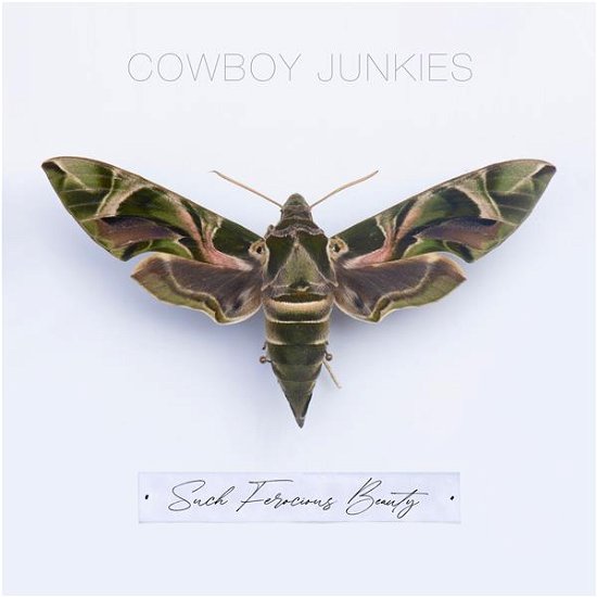 Cover for Cowboy Junkies · Such Ferocious Beauty (CD) (2023)
