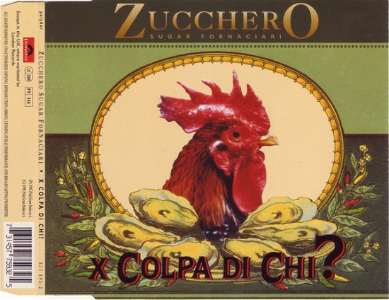 X Colpa Di Chi? - Zucchero - Muziek -  - 0731457759325 - 