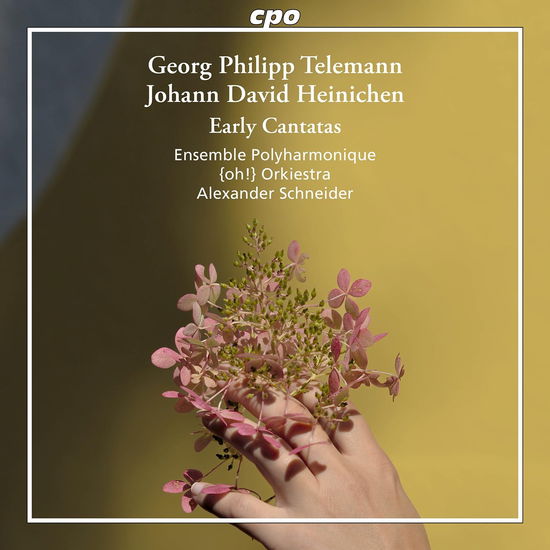 Cover for Ensemble Polyharmonique · Georg Philipp Telemann: Early Cantatas (CD) (2024)